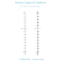 Series1 40"W Cabinet with Rods - 30"H Countertop