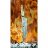 F.Dick VIVUM BBQ Knife ASADOR Birch 8.5"