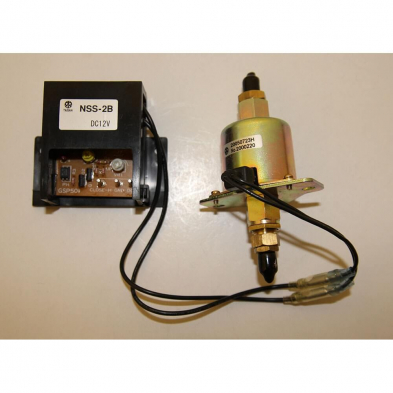 17187619 Fuel Pump, NS2700-2