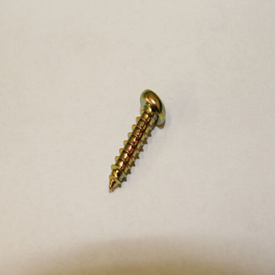 17196378 Screw C16
