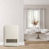 Rinnai EX11DT Hall