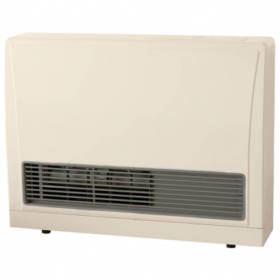 Rinnai EX22DTWP