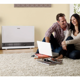 Rinnai Direct Vent Wall Furnace Installed