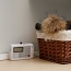 Discontinued: 7-Piece Wireless Alarm System With Dialer