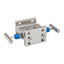 Manifold Valve