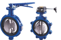 DelVal Multi-Series Butterfly Valves