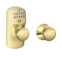 Schlage FE-Series FE575 PLY 505 FLA Auto-Lock