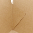 #2 54oz Kraft Togo Food Box 7.75"x5.5"x2" 200/cs