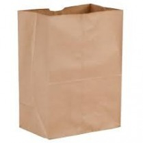 10x7x15'' Kraft Paper Bag 100GSM 250/cs