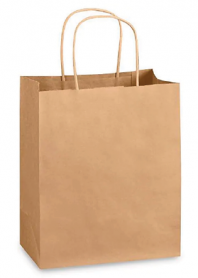 CM4 Kraft Handle Paper Bag (S) 9x6x11" 300/cs