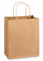 CM8 Kraft Handle Paper Bag (L) 13x9x15" 150/cs