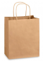 CM8 Kraft Handle Paper Bag (L) 13x9x15" 150/cs