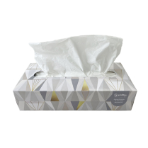 2Ply Facial Tissue White 100's X 30 Boxes/CS