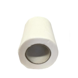 Biodegradable Toilet Tissue - 2 Rolls