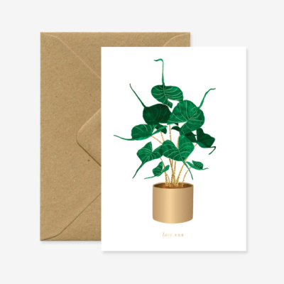 Gold Alocasia Stingray Plant|All The Ways To Say