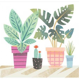 Potted Plants|Up With Paper