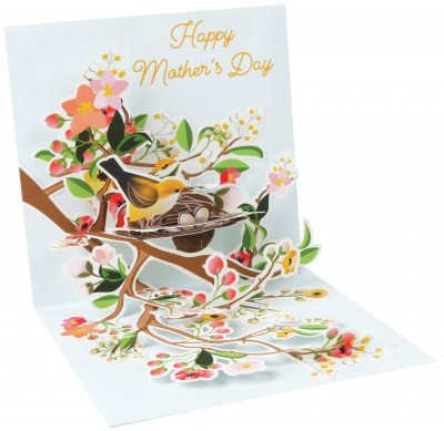 Birds Of Spring|Up With Paper