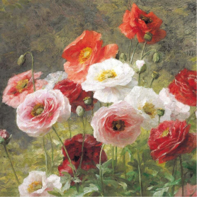 Poppies Lemaire
