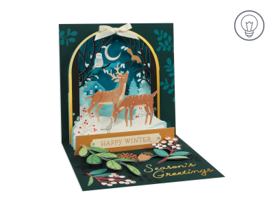 Snowglobe Dome|Up With Paper