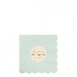 Mint Simply Eco Small Napkins|Meri Meri