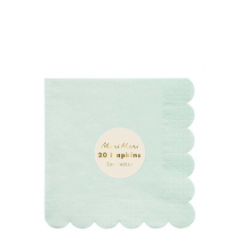 Mint Simply Eco Large Napkins|Meri Meri