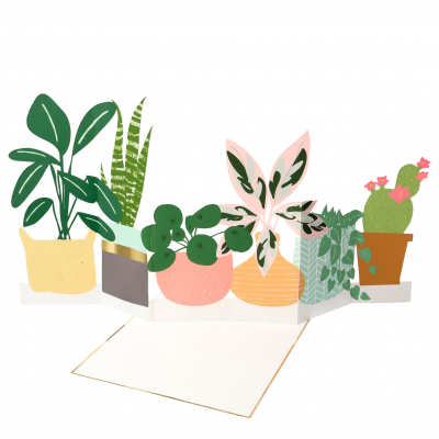 Potted Plant Concertina Card|Meri Meri