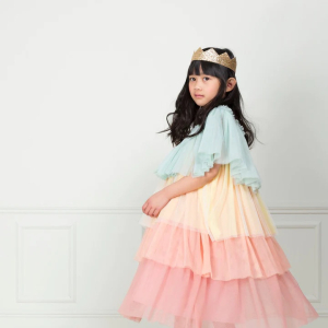 Rainbow Ruffle Princess Dress Up 3-4 Years|Meri Meri