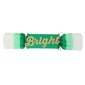 Merry & Bright Christmas Crepe Crackers|Meri Meri