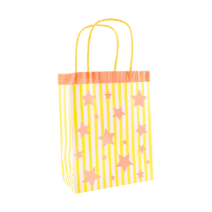 Bright Star Party Bags|Meri Meri