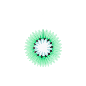 Tropical Fruit Honeycomb Decorations|Meri Meri