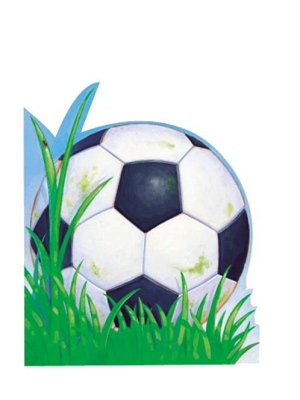 Soccer Ball Card|Peaceable Kingdom