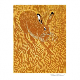 Stubble Hare|Museums & Galleries