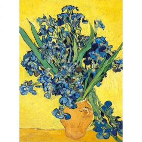 Irises|Museums & Galleries