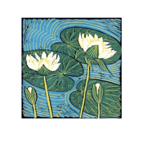 Waterlilies