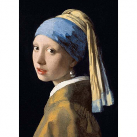 Girl With A Pearl Earring|Museums & Galleries