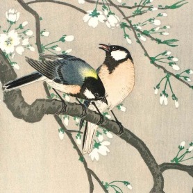 Tits On Cherry Branch|Museums & Galleries