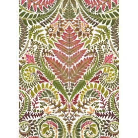 Pteridomania Fern Fever