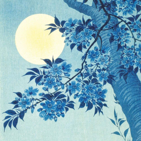 Blossoming Cherry On A Moonlit Night|Museums & Galleries