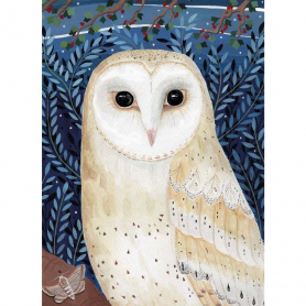 Midnight Owl|Museums & Galleries
