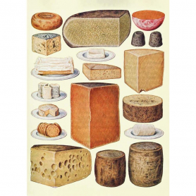 Types Of Cheese|Museums & Galleries