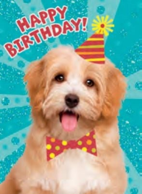 Dog With Party Hat Card|Peaceable Kingdom