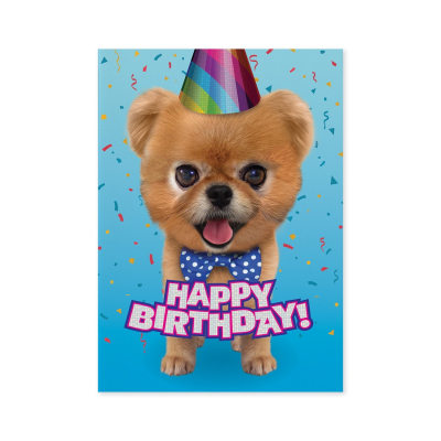 Teddy Bear Pomeranian Card|Peaceable Kingdom