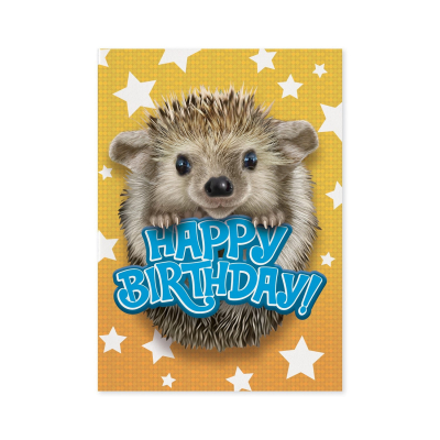 Hedgehog Card|Peaceable Kingdom