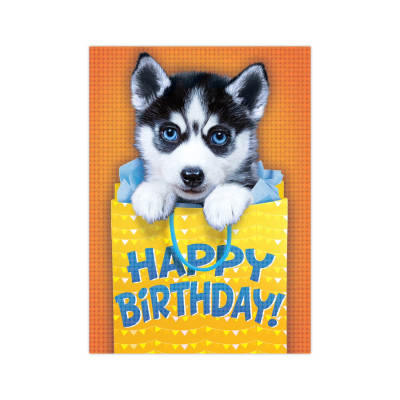 Photo Realistic Husky Card|Peaceable Kingdom