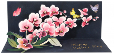 Spring Orchid|Up With Paper