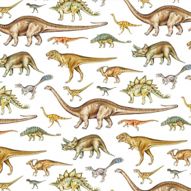 SHEET WRAP Dinosaurs|Museums & Galleries
