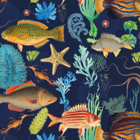 SHEET WRAP Fish|Museums & Galleries
