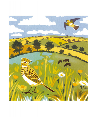 Skylarks