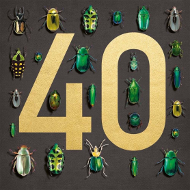 Beetles 40|Museums & Galleries