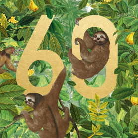 Sloths 60